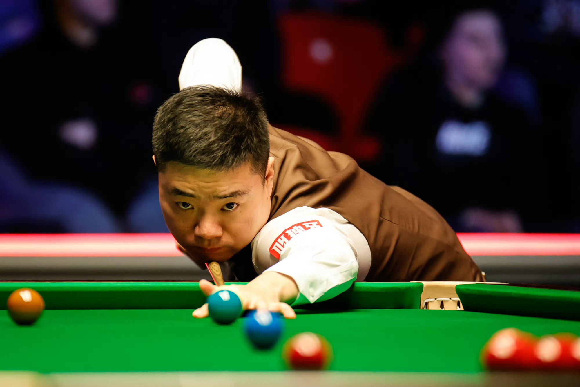 这类活动不 这类活动不