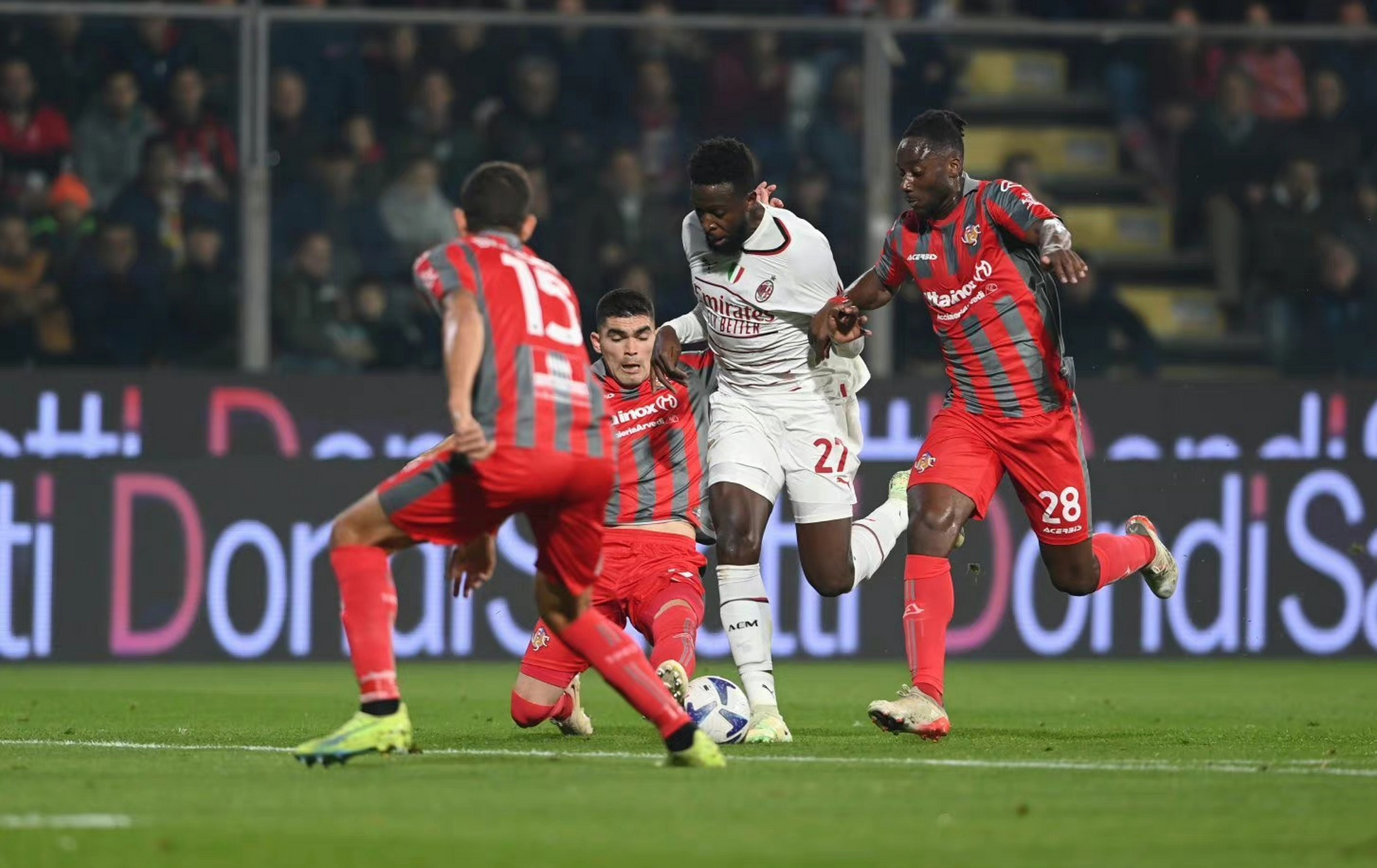 坚实的粉丝 坚实的粉丝